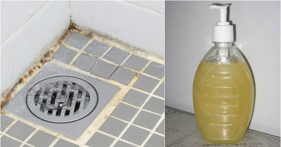 Egy hihetetlenül hatékony szer a penész ellen