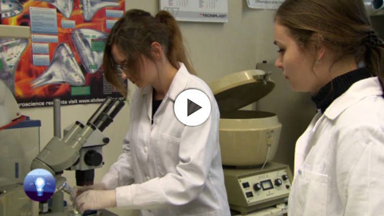 Itt az áttörés: új lehetőségek nyílhatnak a rákkutatásban