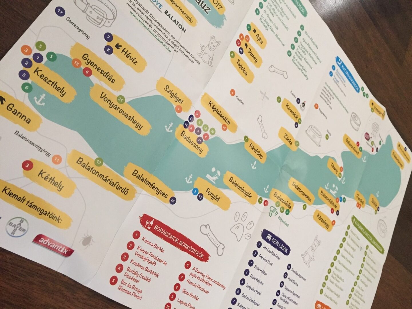 Hová menjünk kutyával a Balatonon?