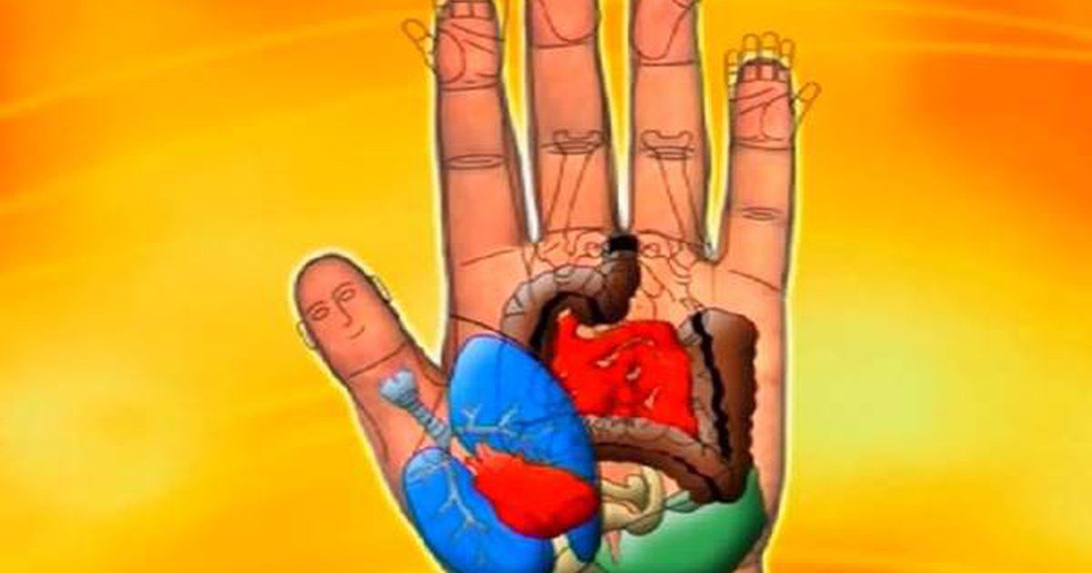 Így gyógyíthatod meg az egész tested a tenyereden keresztül! - VIDEÓ