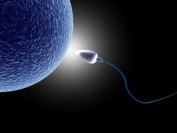 Meglepő területen állítja hadrendbe a spermiumokat a tudomány!