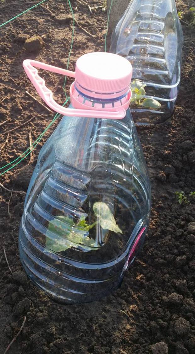 Újra tombol a műanyagflakon-láz! Itt egy szuper ötlet 1