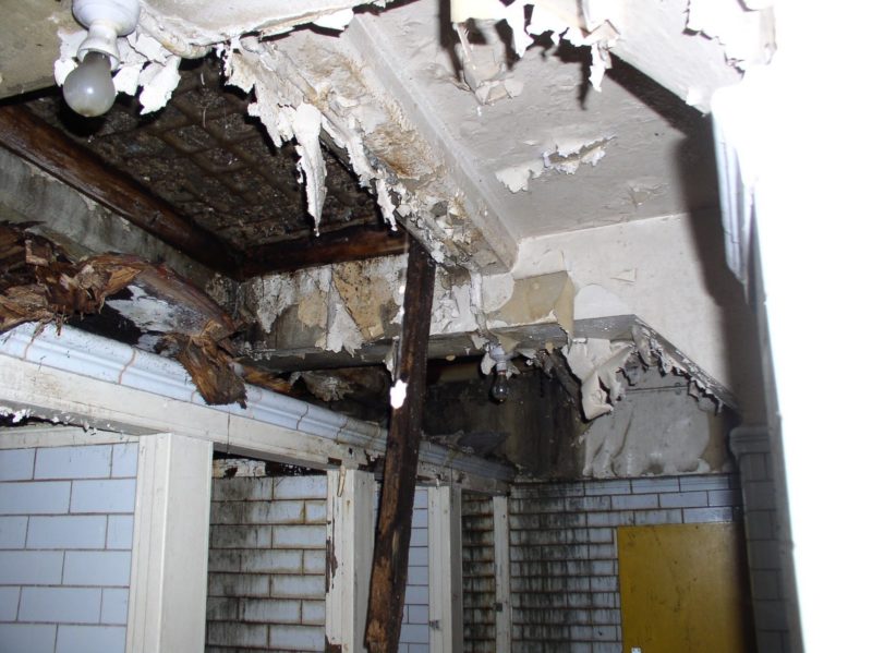 Vécét vett Laura magának, most őrült luxusban él a föld alatt… 4