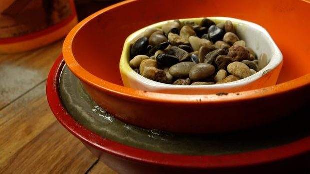 A tábortűz már a múlté, ez a kerti őrület a fiatalok új kedvence 1