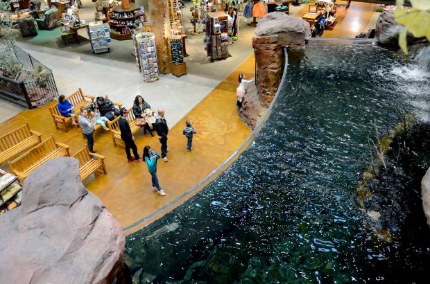 Borzasztó véget ért az akvárium-kihívás, a kamera mindent vett - VIDEÓ