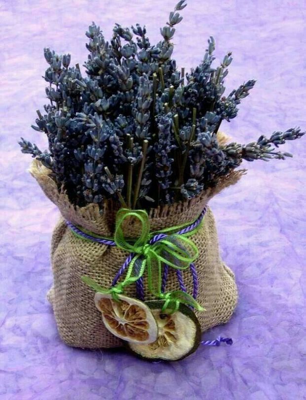 Elképesztő gyógyerő a levendulában, idén nyáron ne hagyd ki! 2