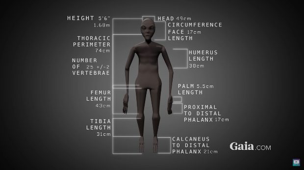 Minden végtagján csak három hosszú ujja van a rejtélyes perui múmiának - VIDEÓ 1