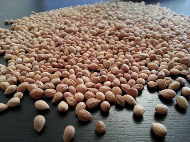 Ne dobd ki a meggymagot, elképesztő, mennyi mindenre használhatod! 4