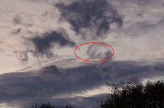 Sokkot kapott a kutyasétáltató, amikor rájött mit fotózott le... 2