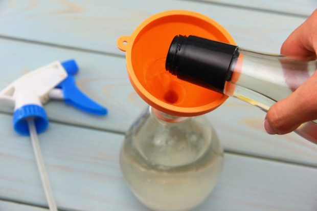 Támadnak a szárnyas hangyák, mutatjuk a tuti ellenszert! 5