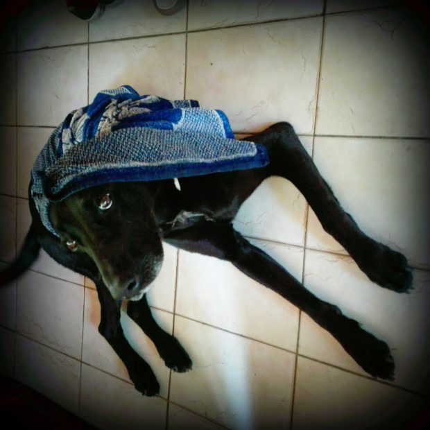 Van az a helyzet, amikor legálisan törhetünk fel autót 4