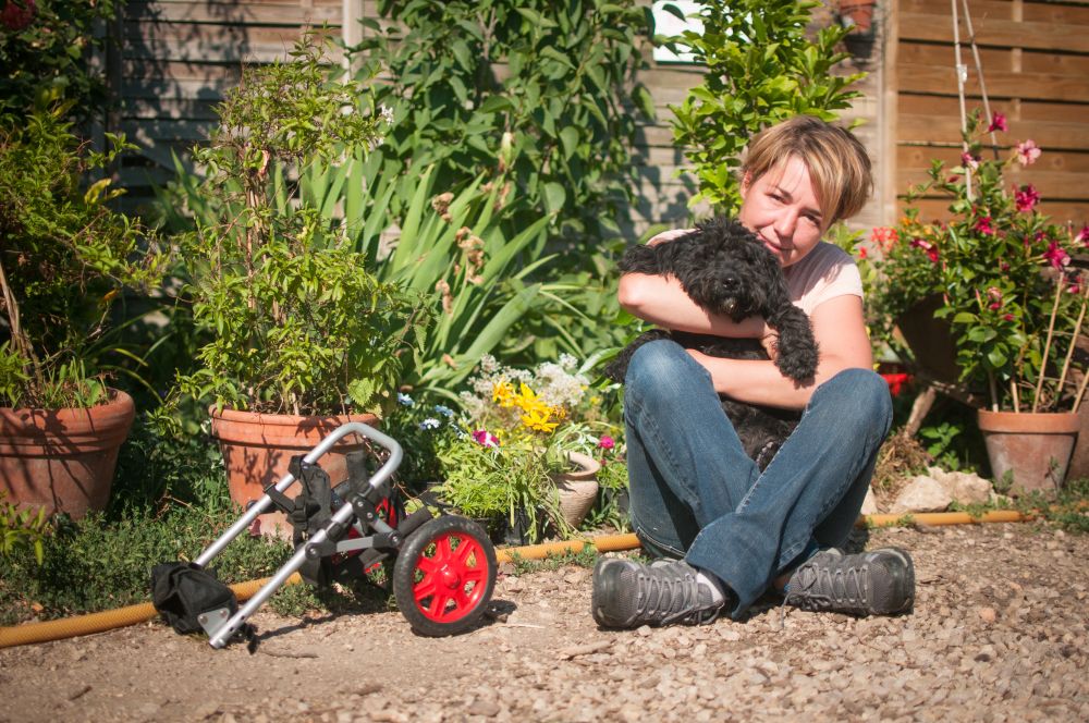 Mellső lábain jár Cinke, a kétlábú pulikutya a veszprémi menhelyen