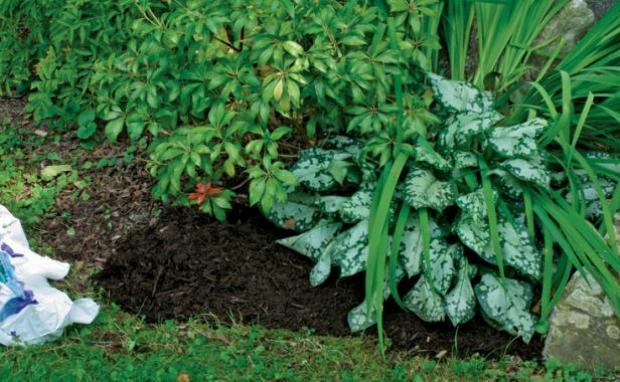 Elöntötte a kertedet a gaz Így szabadulhatsz meg tőle 3