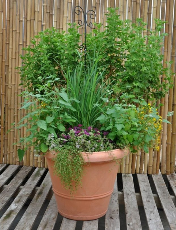 Gyűlölöd a szúnyogokat? Ezt rakd össze, és megszabadulhatsz tőlük