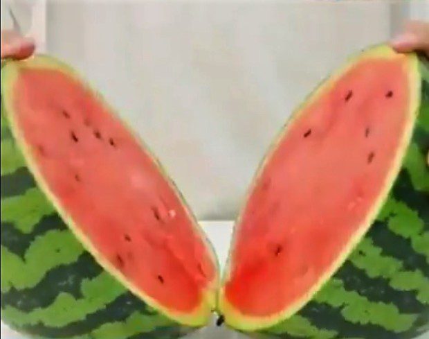 Soha többé nem veszel rossz dinnyét, ha ezeket a trükköket ismered