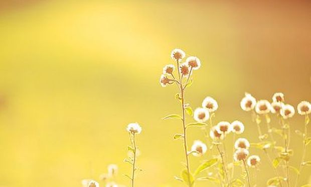 Ettől kiakad a hőmérő: bámulatos idővel folytatódik a hét