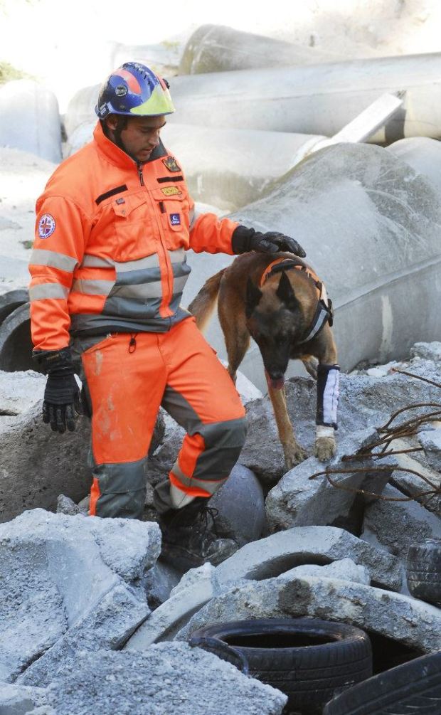 Így búcsúztak el az ország legsikeresebb mentőkutyájától 2