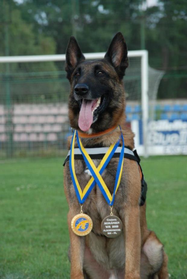 Így búcsúztak el az ország legsikeresebb mentőkutyájától