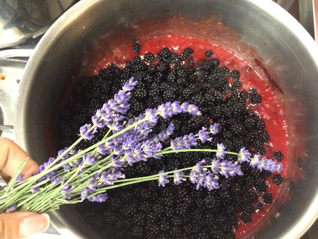 Ingyen adja az erdő a gyümölcsöt Életed csúcslekvárját készítheted el! 4