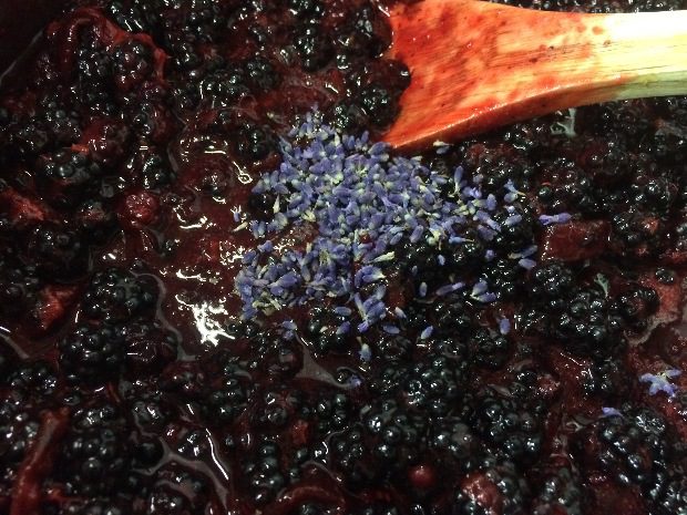 Ingyen adja az erdő a gyümölcsöt Életed csúcslekvárját készítheted el! 5