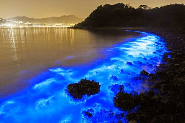 Kivételes természeti csoda a tengerparton, nem hiszel a szemednek! 1