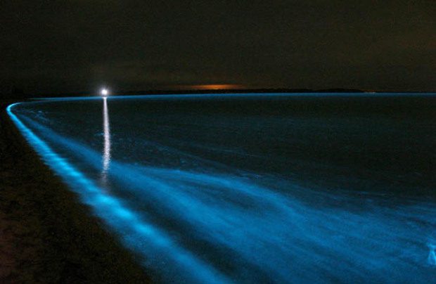 Kivételes természeti csoda a tengerparton, nem hiszel a szemednek! 2