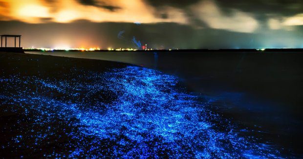 Kivételes természeti csoda a tengerparton, nem hiszel a szemednek! 3