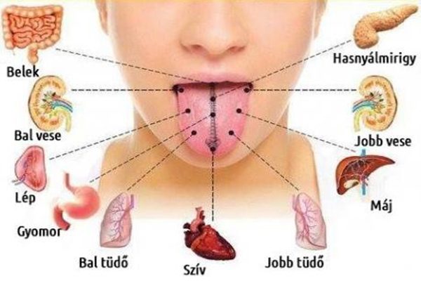 Nyelved elárulja milyen betegség fenyegeti a szervezeted. Te egészséges vagy?