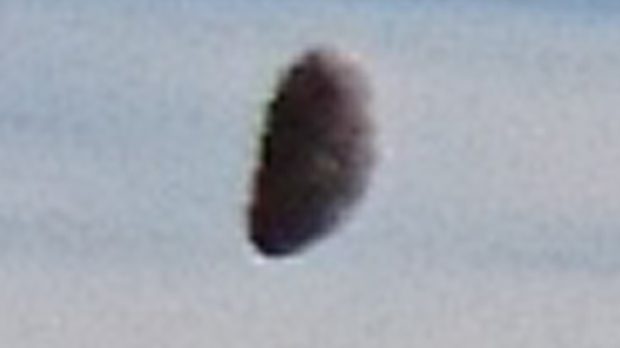 Sokkot kaptak a strandolók, amikor észrevették mi van a vízben 1