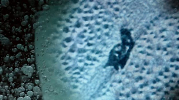 Sokkot kaptak a tudósok Bizarr lények élhetnek a Pluto felszínén - VIDEÓ 1