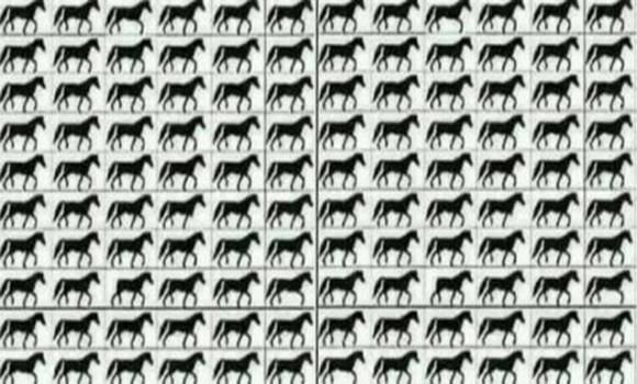 Hány 3 lábú lovat látsz a képen? Kevés ember tudja a helyes megoldást, ha te mégis köztük vagy, igazi sas szemed van!