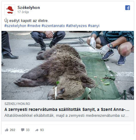 Elkapták a medvét, amelyik átharapta egy magyar turista combját 1