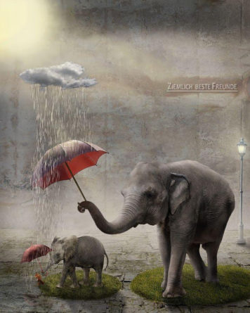 Esőben is illedelmesek az elefántok. Kép: Hirmagazin.eu