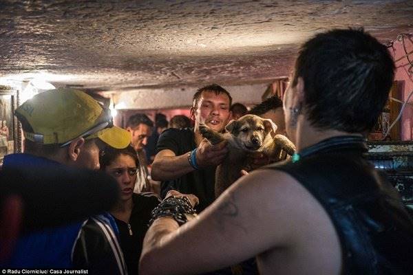 Döbbenetes képek román fiatalokról, akik Bukarest csatornáiban élnek, a föld alatt 1