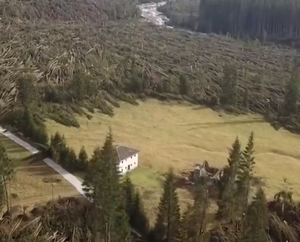 Szörnyű látvány több százezer fát csavart ki a viharos idő - VIDEÓ