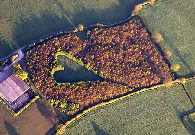 Elhunyt felesége tiszteletére több ezer fát ültetett. 17 év múlva megdöbbentő légi felvétel készült róla 2